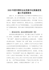 (整理)2025年度市国有企业党委书记抓基层党建工作述职报告