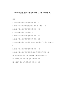 12篇20XX年安全生产工作总结汇编含镇乡