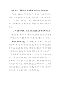 经验交流旗帜领航强根铸魂奋力打造党建新高地