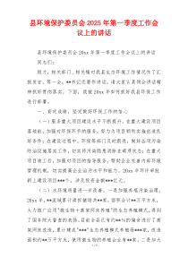 县环境保护委员会2025年第一季度工作会议上的讲话