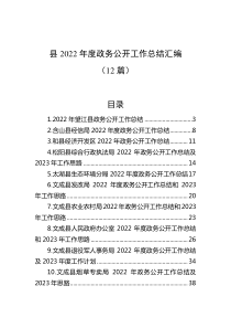 12篇县20XX年度政务公开工作总结汇编