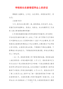 学校校长在新春团拜会上的讲话