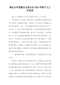 国企公司党建办公室主任2025年度个人工作总结
