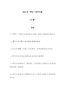 13篇20XX年两会热评汇编