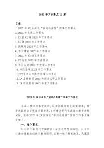 13篇20XX年工作要点