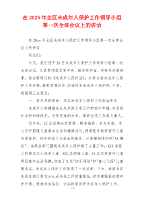 在2025年全区未成年人保护工作领导小组第一次全体会议上的讲话