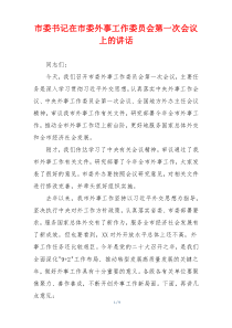 市委书记在市委外事工作委员会第一次会议上的讲话