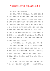 在2025年全市三级干部会议上的讲话