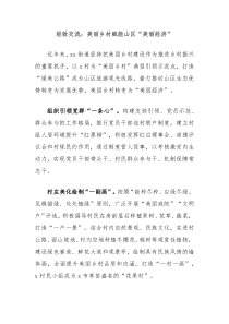 经验交流美丽乡村赋能山区美丽经济