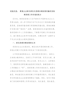 经验交流聚焦主业深化特色化党建共建机制双融双促构建党建工作价值创造力