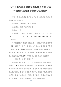市工业和信息化局数字产业处党支部2025年度组织生活会会前谈心谈话记录