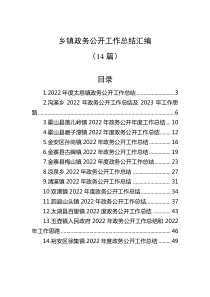 14篇20XX年乡镇政务公开工作总结汇编