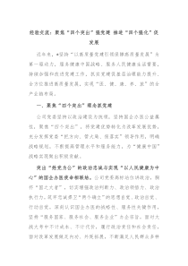 经验交流聚焦四个突出强党建推进四个强化促发展