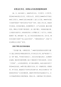 村党总支书记村委会主任先进典型事迹材料