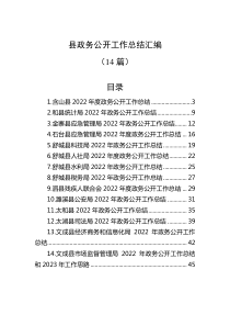 14篇20XX年县政务公开工作总结汇编