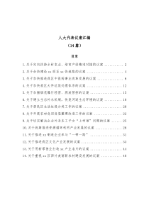 14篇人大代表议案汇编