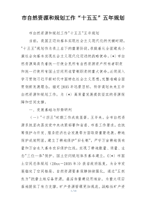 市自然资源和规划工作“十五五”五年规划