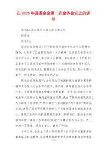 在2025年县委全会第二次全体会议上的讲话