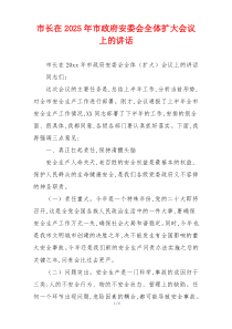 市长在2025年市政府安委会全体扩大会议上的讲话