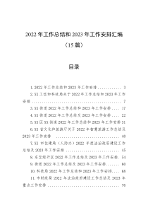 15篇20XX年工作总结和20XX年工作安排汇编