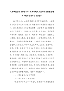 某乡镇党委领导班子20XX年度专题民主生活会对照检查材料践行宗旨等6个方面