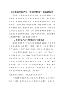 (整理)X县推动传统产业“老树发新枝”的调研报告