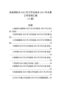 15篇各级局机关20XX年工作总结及20XX年主要工作安排汇编