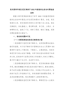 某兵团师市连队党支部班子20XX年度组织生活会对照检查材料