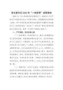 (整理)党支部书记2025年“一岗双责”述职报告