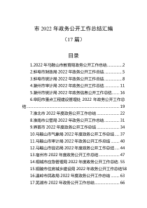 17篇市20XX年政务公开工作总结汇编