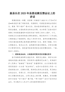 (整理)副县长在2025年县委巡察反馈会议上的讲话