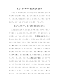 某县两个责任落实情况典型材料