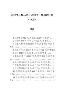 19篇20XX年工作总结与20XX年工作思路汇编