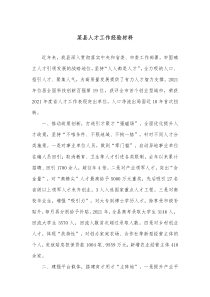 某县人才工作经验材料