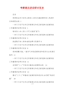 考察湖北讲话研讨发言