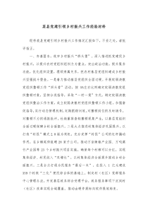 某县党建引领乡村振兴工作经验材料