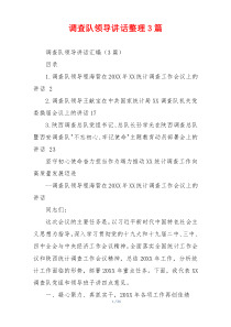 调查队领导讲话整理3篇