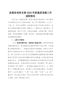 (整理)县税务局党支部2025年抓基层党建工作述职报告