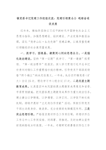 镇党委书记党建工作经验交流党建引领聚合力砥砺奋进促发展