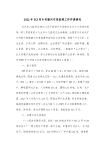 20XX年XXX村乡村振兴示范创建工作开展情况