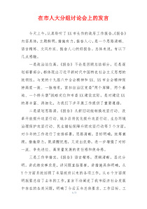 在市人大分组讨论会上的发言