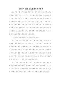 20XX年XX县应急管理局工作要点