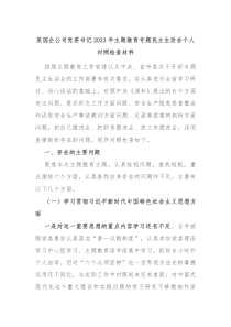 某国企公司党委书记20XX年主题教育专题民主生活会个人对照检查材料