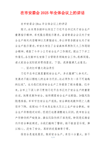 在市安委会2025年全体会议上的讲话