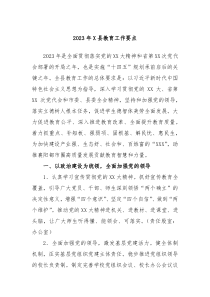 20XX年X县教育工作要点