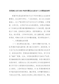 某巡察办主任20XX年度专题民主生活会个人对照检查材料