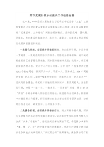 某市党建引领乡村振兴工作经验材料