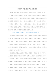 20XX年乡镇政法综治工作要点