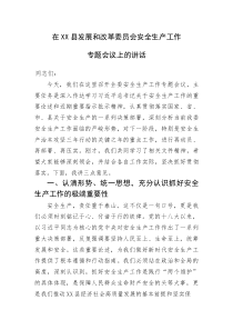 (整理)在XX县发展和改革委员会安全生产工作专题会议上的讲话