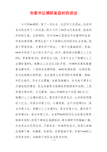 市委书记调研某县时的讲话